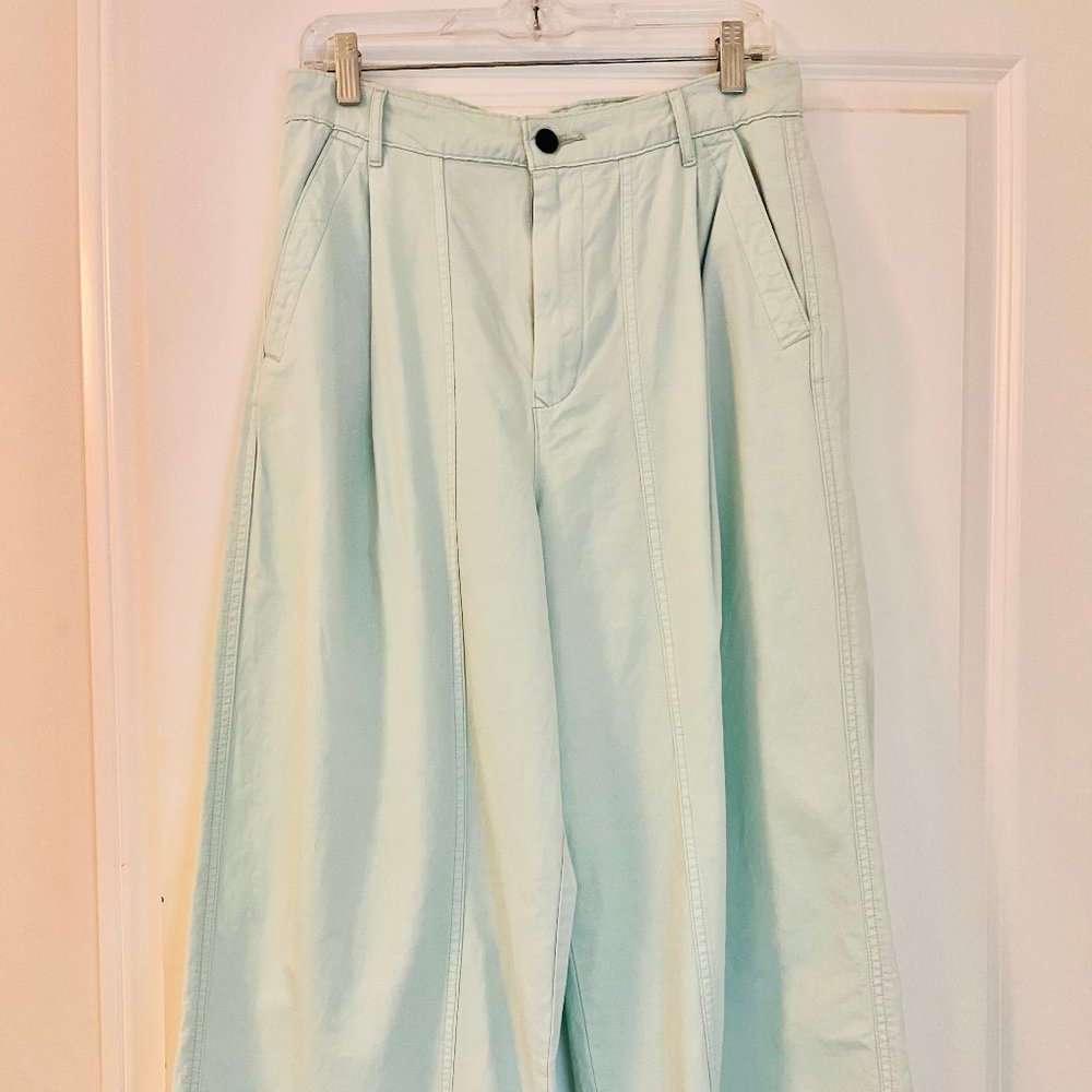 Everlane mint-green high waisted, pleated wide pants, Size 8